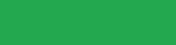 CSG19 Bright Green Parrot